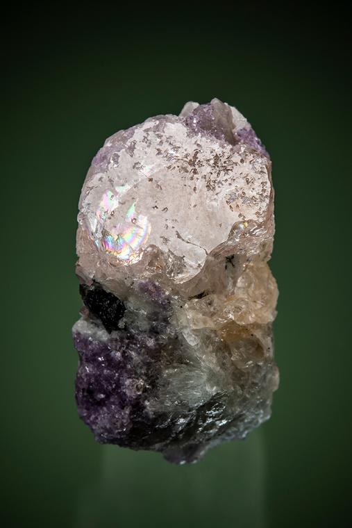BERYL var. Morganite with LEPIDOLITE